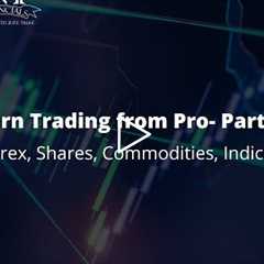 The benefits of Forex trading with N P Financials Part_47