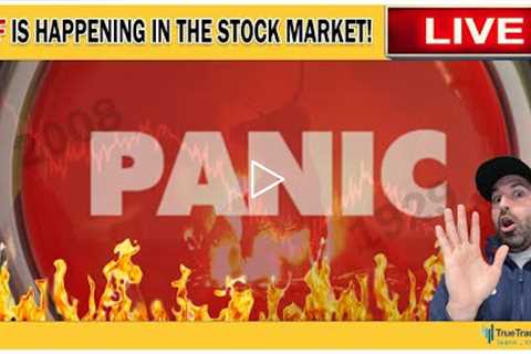 WTF HAPPENED In The Stock Market Today? Panic & Fear The Stock Market Crash… Wait, WE BOUNCED?..
