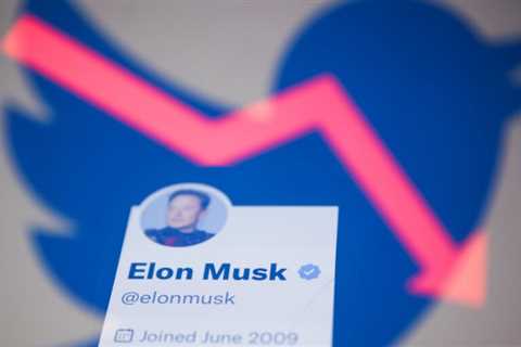 Twitter income, earnings reportedly fell 40% shortly after Musk buyout