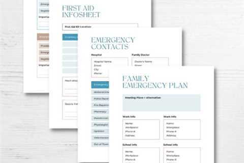 Free Printable Household Emergency Planner