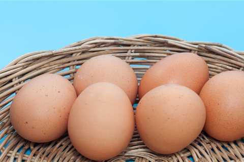 Cal-Maine Stock Sinks 7% on Earnings Plunge Driven By Lower Egg Prices
