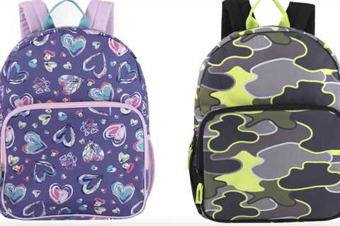 Child’s 17″ Backpacks solely $5 at Goal!