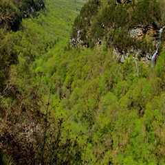 The Thriving Economy of North Central Georgia