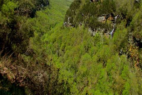 The Thriving Economy of North Central Georgia