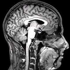 $25M Raised by Amae Health to Enhance Severe Mental Illness Care