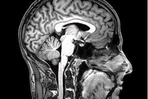 $25M Raised by Amae Health to Enhance Severe Mental Illness Care